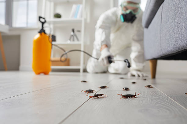 Commercial Kitchen Cockroach Control in Laurel Lake